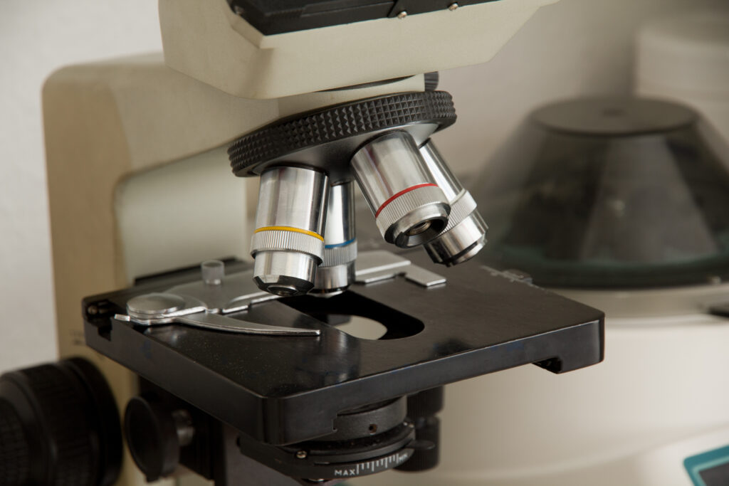 Startseite img 4077 als smart objekt 1